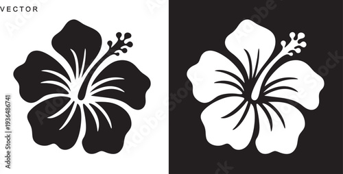 hibiscus flower vector collection, hibiscus flower silhouettes