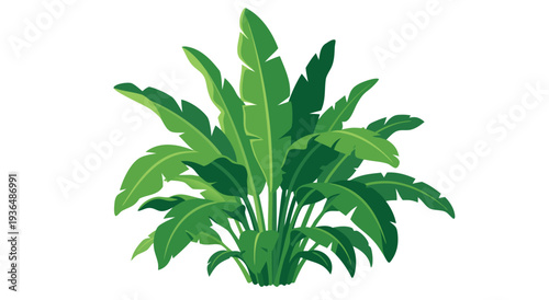 Vibrant Green Banana Leaf Plant A Tropical Vector Illustration with Lush Foliage