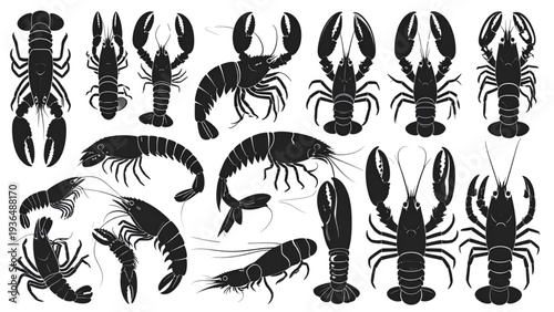 Lobster silhouette set, seafood animal illustration, marine creature graphic, crustacean drawing, fishing design element, cad drawing flat vector illustration
