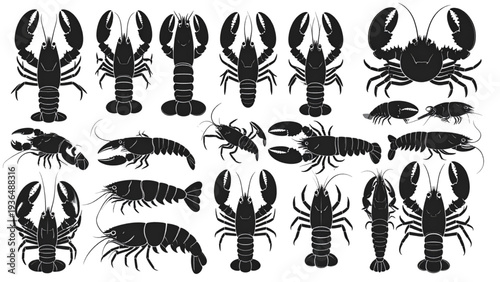 Lobster silhouette set, seafood animal illustration, marine creature graphic, crustacean drawing, fishing design element, cad drawing flat vector illustration