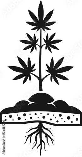 Marijuana plant with roots in soil. detailed cannabis illustration showcasing complete plant structure