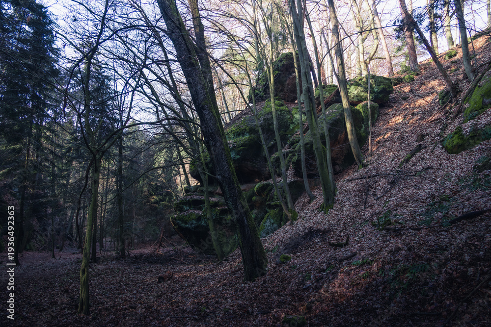 Obraz premium old stone formation in forest