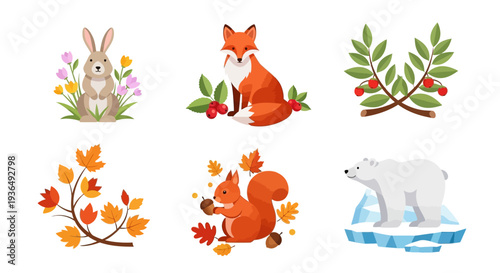 Set of cute animal illustrations and decorative autumnal elements