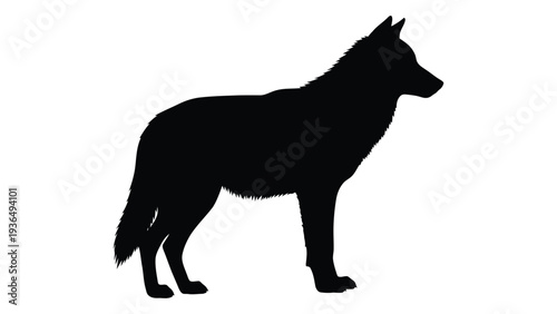 A black silhouette of a dog standing on a white background
