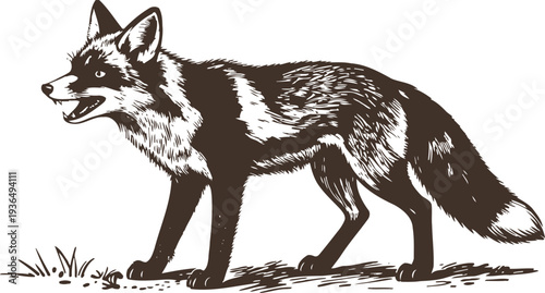 fox illustration in black and white wild animal standing on grass, detailed fur texture