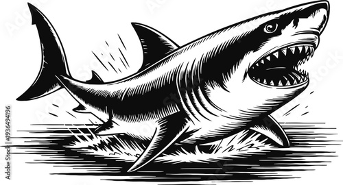 Aggressive great white shark breaching from water with open mouth and sharp teeth