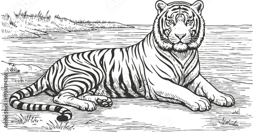 Majestic tiger lying near riverbank with detailed stripes and calm expression in wildlife scene