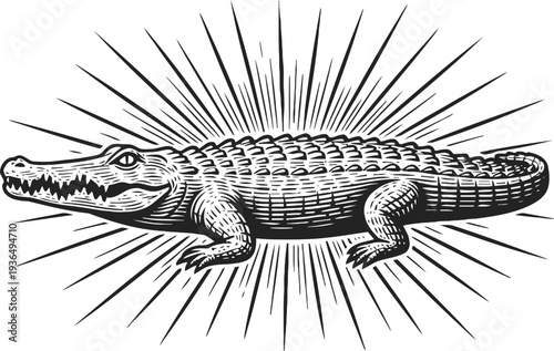 Vintage alligator illustration with sunburst rays black and white reptile animal drawing