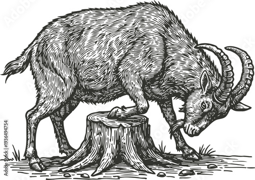 Mountain goat scratching its head on a tree stump in a natural outdoor setting, detailed line art
