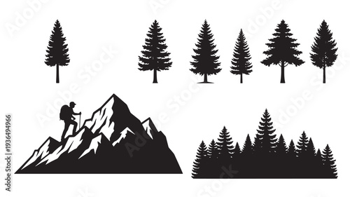 Trees and a mountain climber set in silhouette, representing nature and outdoor adventure with pine and evergreen varieties.