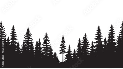 Forest black silhouette with tall evergreen trees forming a natural landscape border against a white background