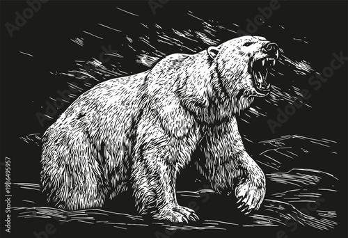 Roaring polar bear illustration in black and white with detailed fur texture and aggressive pose