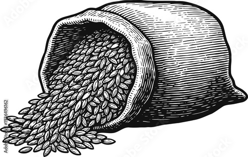 sack of grains spilling seeds vintage agricultural harvest illustration with scattered natural cereal