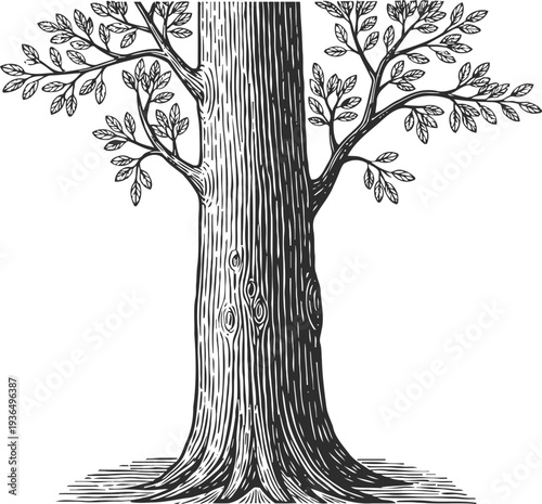Black and white tree trunk with branches and leaves, detailed wood texture illustration