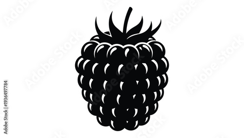A blackberry fruit in a simple illustration style