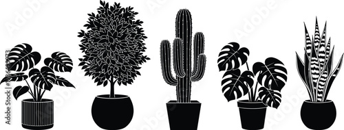 Collection of indoor potted plants silhouettes including monstera, cactus, leafy houseplants and snake plant, modern home decor vector illustration set