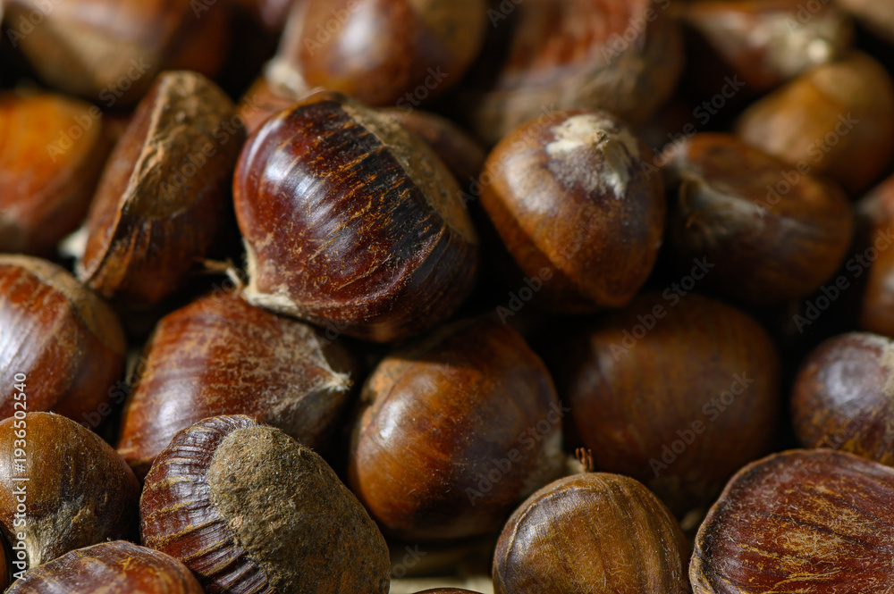Obraz premium Edible Chestnuts Texture in Skin and Tone Details as Background