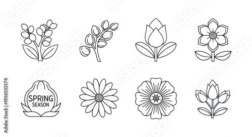Spring season flower line icons set with various blossoms and leaves, black and white vector illustration for nature and seasonal designs