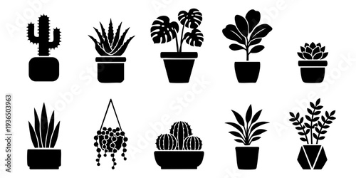 Collection of various potted plants and cacti silhouettes in different pots and arrangements