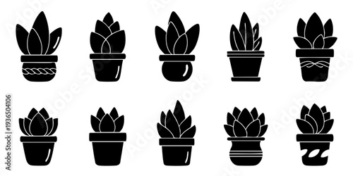 Collection of various potted plants and flowers in different pots displayed together
