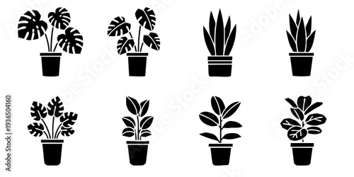 Collection of various potted plants illustrated in black silhouettes on a white background from a front viewpoint
