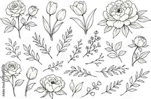 Elegant Hand Drawn Botanical Flowers and Leaves Vector Set, Minimal Floral Line Art Collection