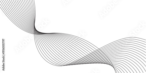 Abstract grey wavy lines Digital frequency track equalizer background. Wave lines created using blend tool. Abstract frequency sound wave lines and twisted curve lines background.