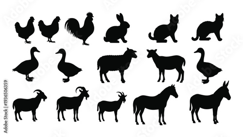 Collection of animal silhouettes on white background