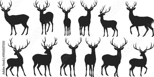 Deer Silhouette Collection Featuring Multiple Stag and Buck Poses with Large Antlers Standing and Walking Wildlife Vector Set