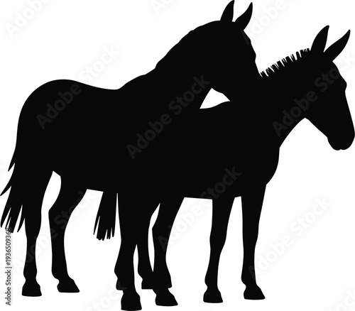 horse, donkey, silhouette, equine, animal, pair, farm, livestock, rural, agricultural, nature, vector, isolated, black, equestrian, stallion, 