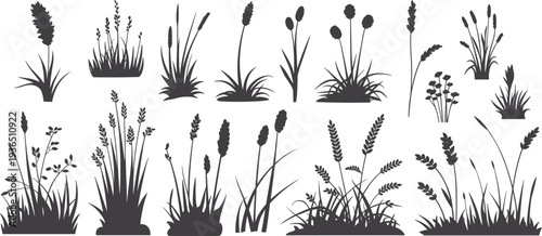 Large collection of wild meadow grass and weed silhouettes featuring various field plants and floral elements for nature landscape designs