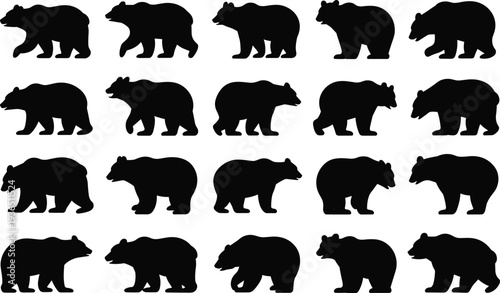 Large set of black bear silhouettes in walking and standing poses, grizzly and brown bear vector icons for forest wildlife nature design,