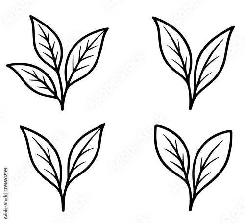 4 tea leaf illustration icons, in outline design