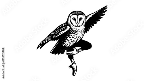 Ballet Dancing Barn Owl in Pointe Shoes - Whimsical Animal Art