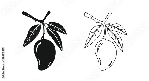 Two mango illustrations one solid and one outlined a striking silhouette