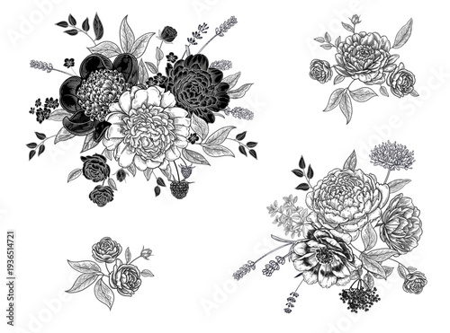 Set of blooming peonies bouquet . Black and white decoration. Vintage