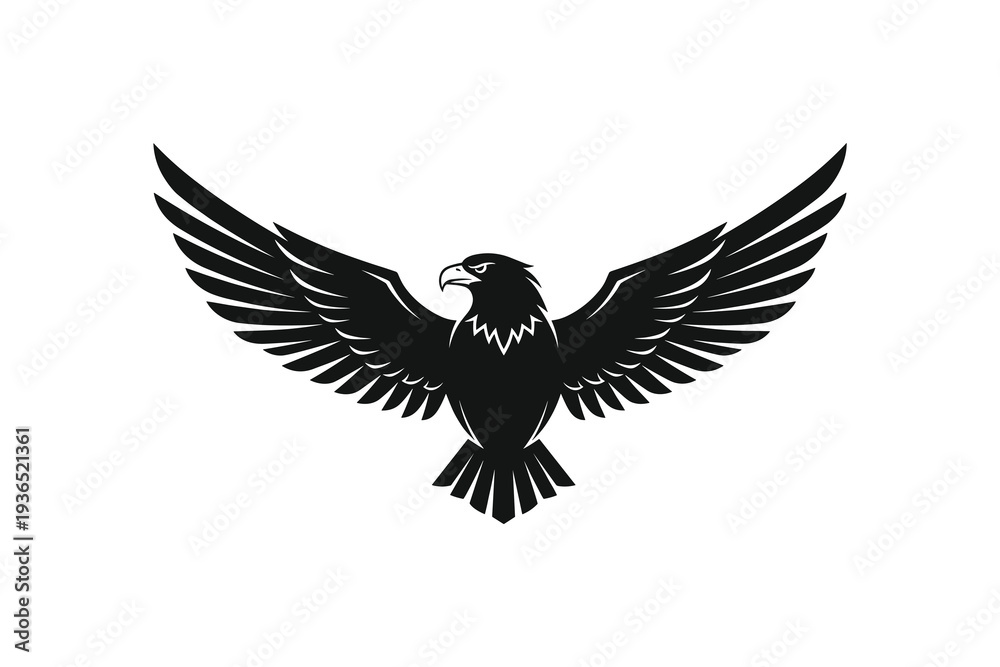 Fototapeta premium Adobe Illustrator Artwork