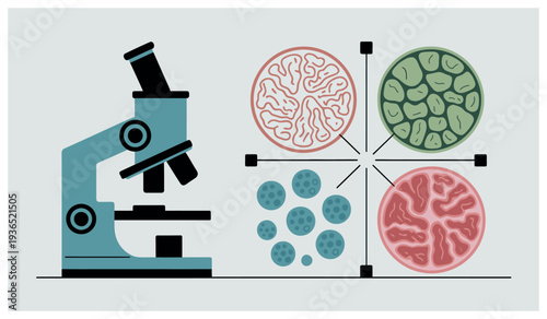 Microscope examining various cell structures and microorganisms.