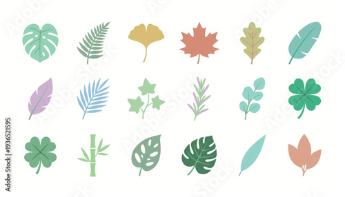 Collection of colorful leaves and foliage illustrations.