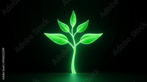Minimalist Glowing Plant Sprout Growing Leaves Growth Animation.