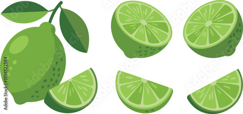 Fresh lime illustration set including whole limes, sliced halves, wedges, and juicy citrus in minimal hand-drawn flat vector style