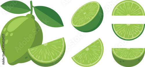 Green lime fruit vector collection featuring whole limes, slices, wedges, halves, and fresh citrus in modern flat illustration style