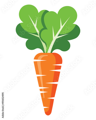 A vibrant orange carrot with green leafy greens on top for healthy eating concepts