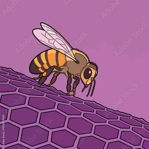 A bee crawls on a honeycomb structure against a purple background. The scene shows the insect in its natural environment.