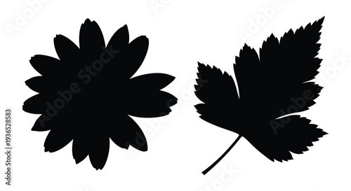 Two detailed plant leaves presented as a striking black silhouette