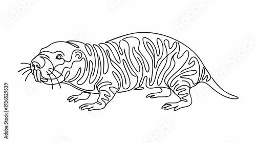 Outline drawing of a naked mole-rat, a fascinating hairless rodent with wrinkled skin, ideal for biology lessons, science projects, and animal-themed designs.
