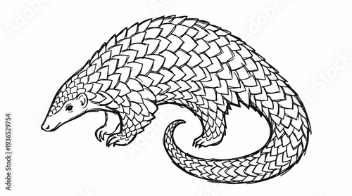 Detailed black and white line art illustration of a pangolin, an endangered scaly mammal, showcasing its unique armored body and curled tail. Ideal for educational, conservation, and nature.