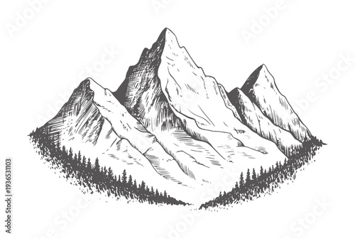 Black and white ink of a mountain range with pine trees peak summit snow
