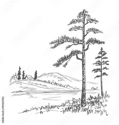 Black and white ink of a tranquil landscape with trees and a house