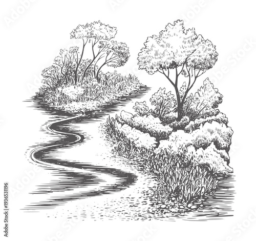 Black and white ink of a winding path through lush foliage and trees